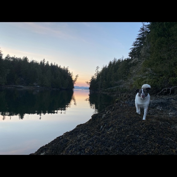 Meet your Posher, Becki - Picture 1 of 1